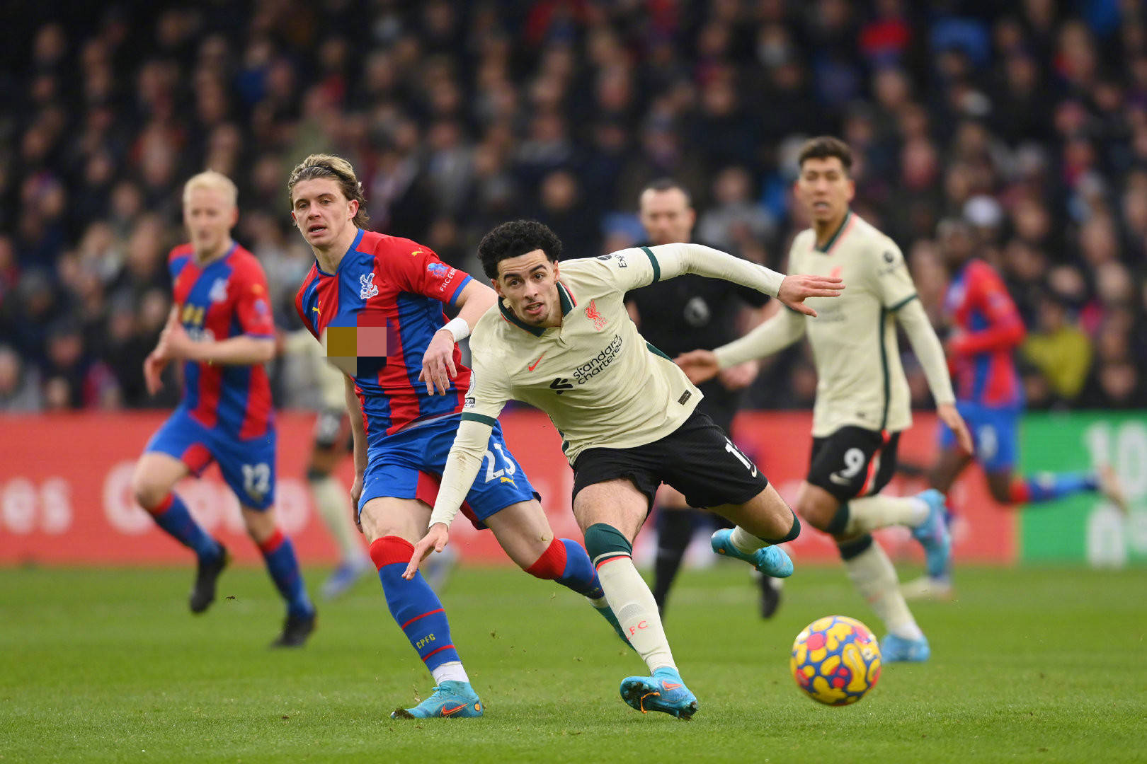 成为了大家 成为了大家